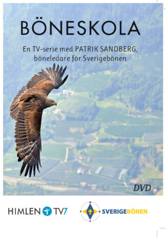 Patrik Sandberg: Böneskola [DVD]